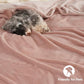 Fleece Blanket Twin 66"x90"