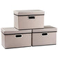 Foldable Storage Bin with Lid [3 (3 Count)