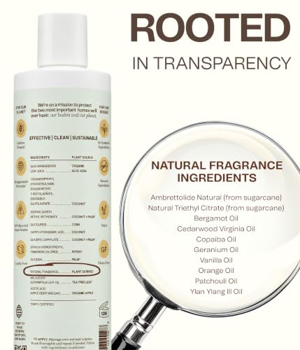 Non Toxic Vegan Shampoo with Organic Ingredients (19.2 Fl Oz)