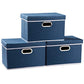 Collapsible Storage Bin with Lid [3 (3 Count)
