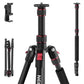 Basics TP15 Camera Tripod Monopod