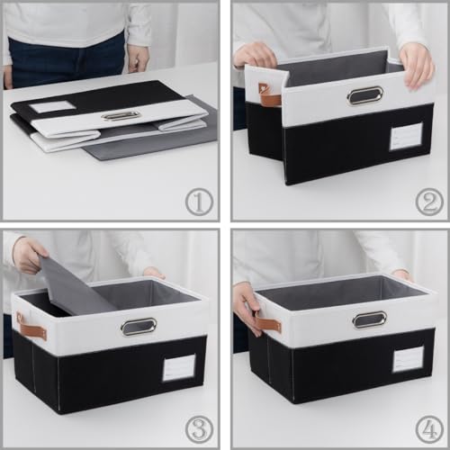 Foldable Storage Bins with Lids [3 (3 Count)