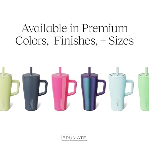 Era 20 oz Tumbler with Handle and Straw