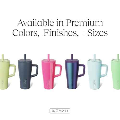 Era 30 oz Tumbler with Handle & Straw