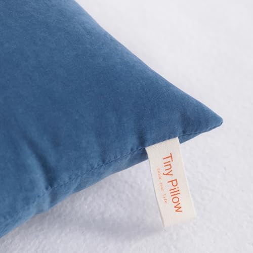Tiny Pillows Down Alternative 7"x11" Microfiber Mini Pillow for Travel (2 Count)
