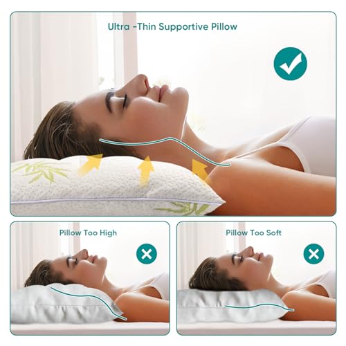 2 Packs Ultra Thin Pillows (2 Count)