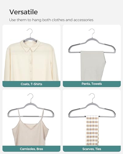 Plastic Clothes Hangers (60 Count)