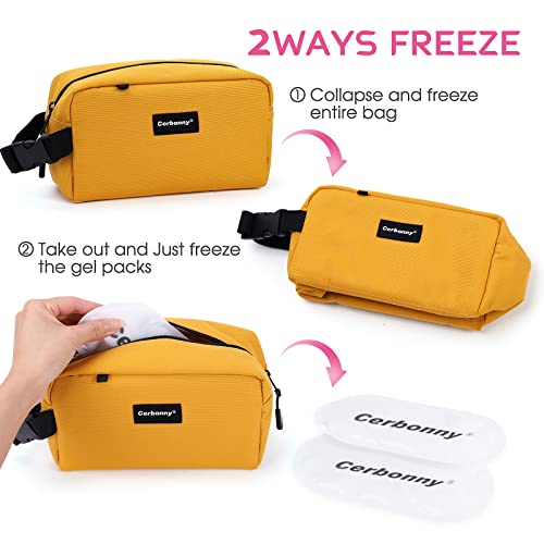 Freezable Lunch Bag