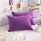 Toddler Pillows (2 Count)