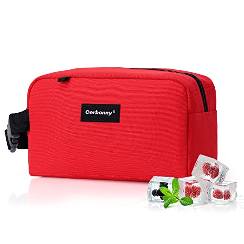 Small Insulated Bag