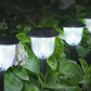 LED Solar Lights for Outside (6 Count)