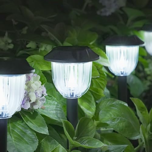 LED Solar Lights for Outside (6 Count)