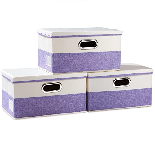 Collapsible Storage Bin with Lid [3 (3 Count)