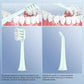 Electric Toothbrush with Water flosser