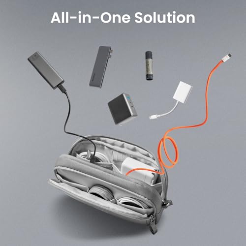 Electronic Organizer Travel Case