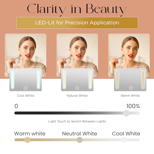 Lighted Makeup Case with Mirror + 10x Mini Mirror