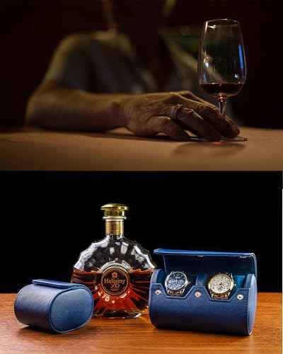 2 Watch Travel Case