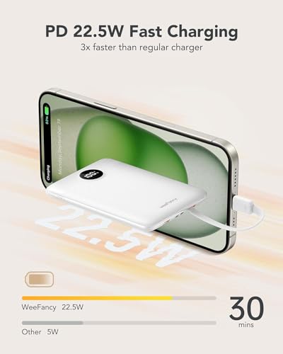 Mini Portable Charger with Built