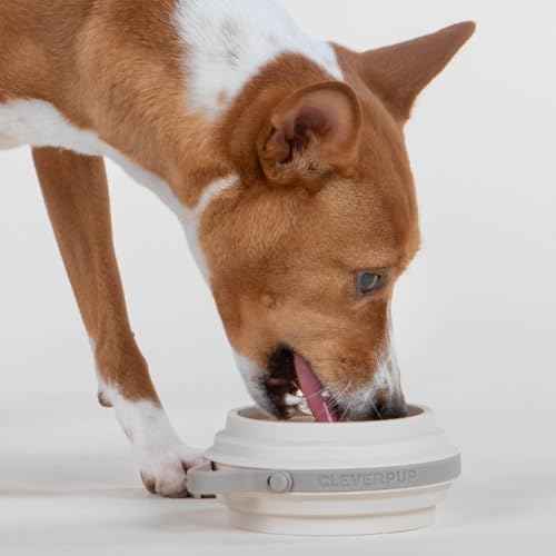 Nomad Small Collapsible Travel Dog Bowl