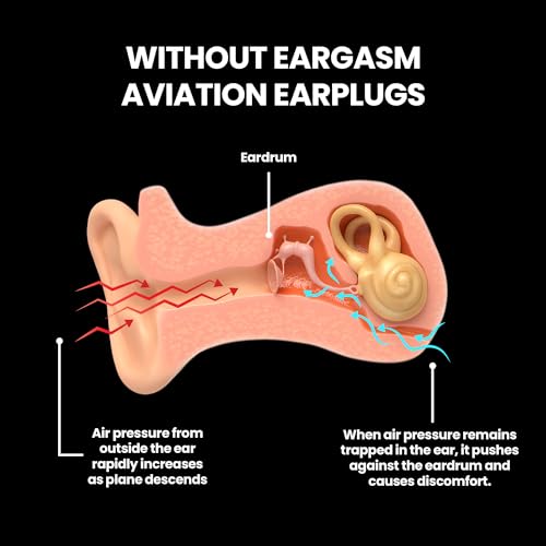 Aviation Earplugs Small