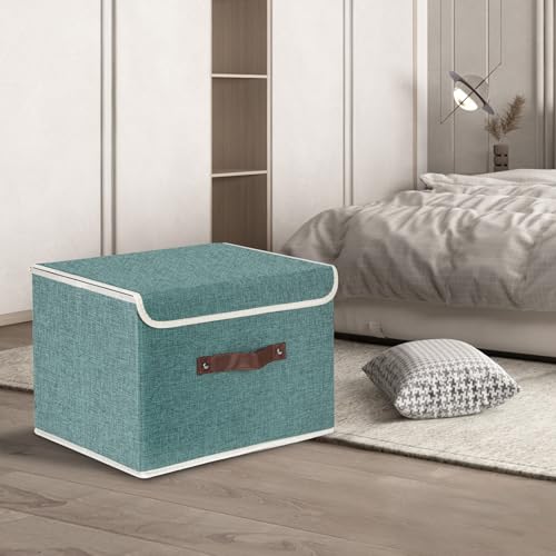 Collapsible Storage Boxes (2 Count)