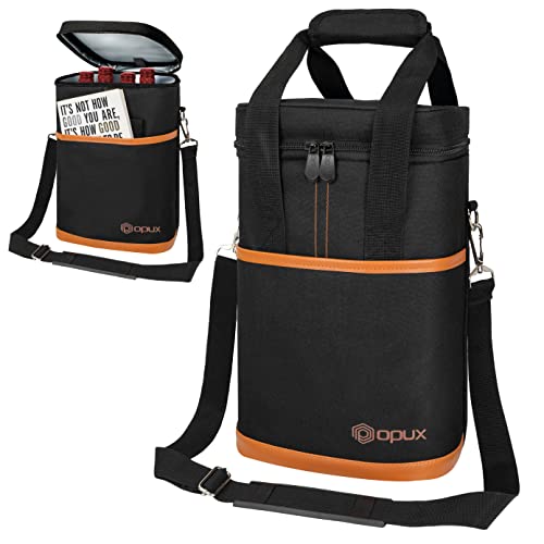 Insulated Wine Cooler Bag