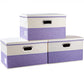 Large Foldable Storage Bins with Lids [3 (3 Count)