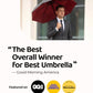 Windproof Travel Umbrella