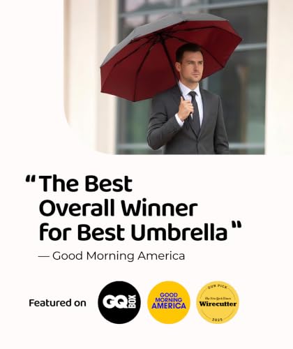Windproof Travel Umbrella
