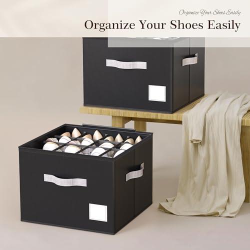 Shoe Organizer for Closet (2 Count)