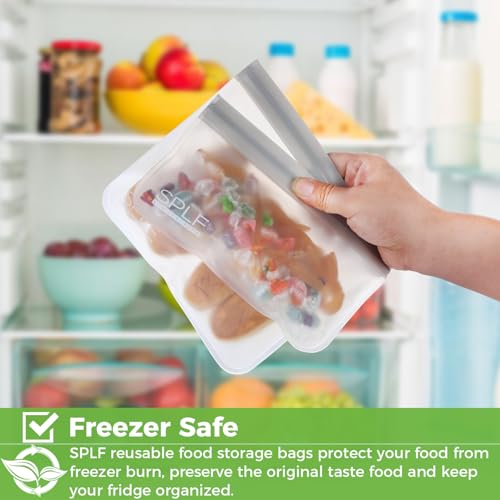 10 Pack Reusable Sandwich Bags Dishwasher Safe (10 Count)