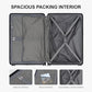 Checked Luggage