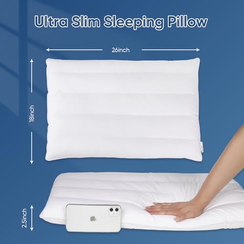 Ultra Flat Pillows for Sleeping Thin