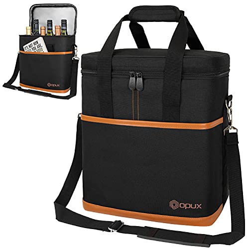 Insulated Wine Cooler Bag