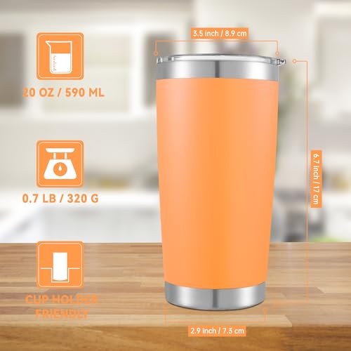 20 oz Tumblers Bulk Stainless Steel Tumbler with Lid (6 Count)