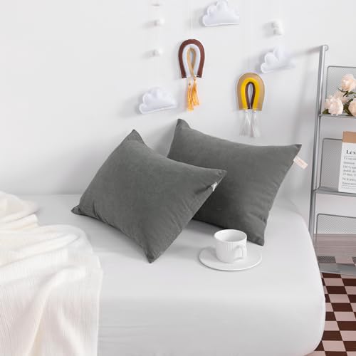 Tiny Pillows Set of 2 (2 Count)