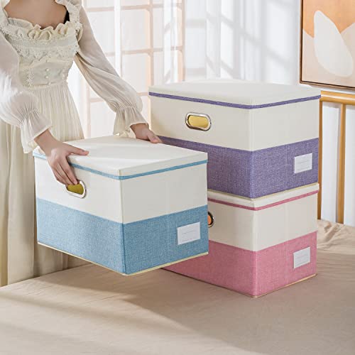 Large Foldable Storage Boxes with Lids [3 (3 Count)