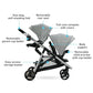 Ready2Grow LX 2.0 Double Stroller
