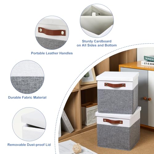 Foldable Fabric Storage Bins with Lids (2 Count)