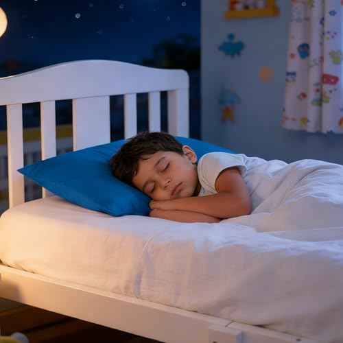 Toddler Pillows with Pillowcases Set (2 Count)