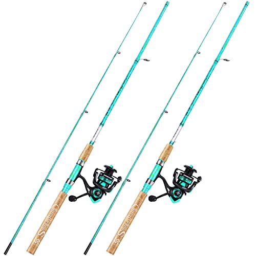 Spinning Fishing Rod Combo (2 Count)