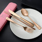 Travel Utensils Set Stainless Steel with Carrying Case