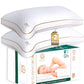 King 2 Pack Memory Foam Pillow (2 Count)