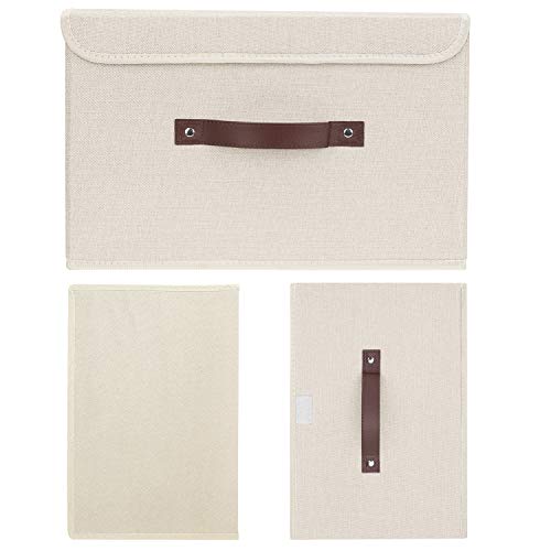 Collapsible Storage Boxes (2 Count)