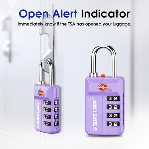 TSA Approved 4 (2 Count)