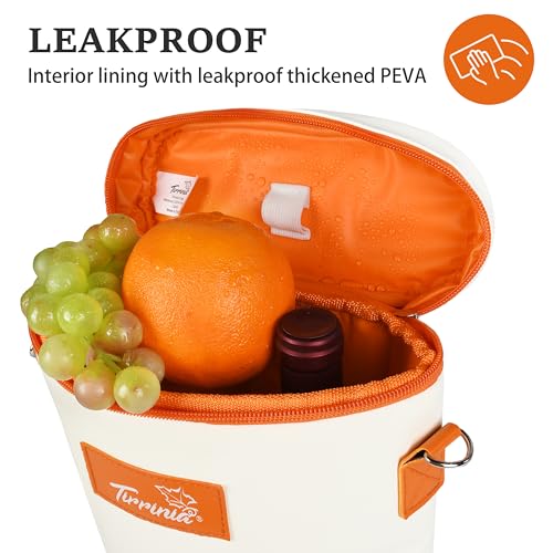 2 Bottle Insulated Wine Tote Carrier Bag