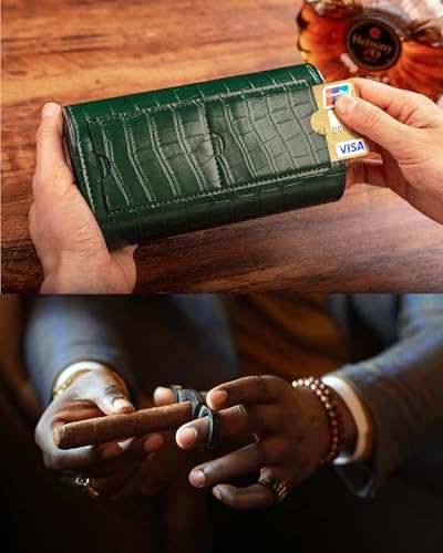 2 Watch Travel Case