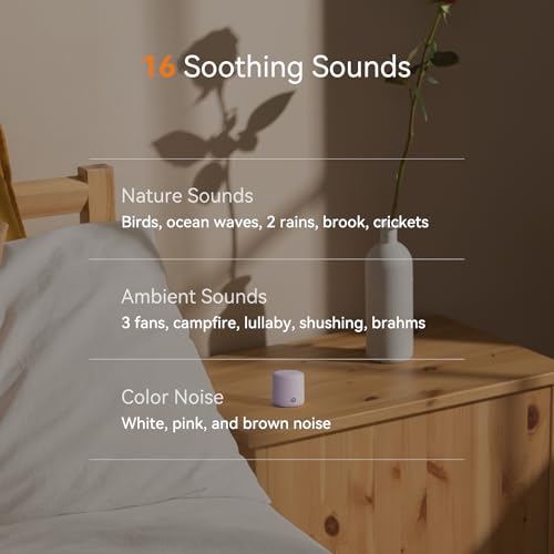 Portable White Noise Machine