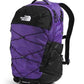 Borealis Commuter Laptop Backpack