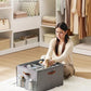 Shoe Organizer for Closet (2 Count)